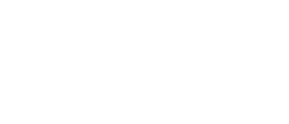 brommarecords.com Logotyp